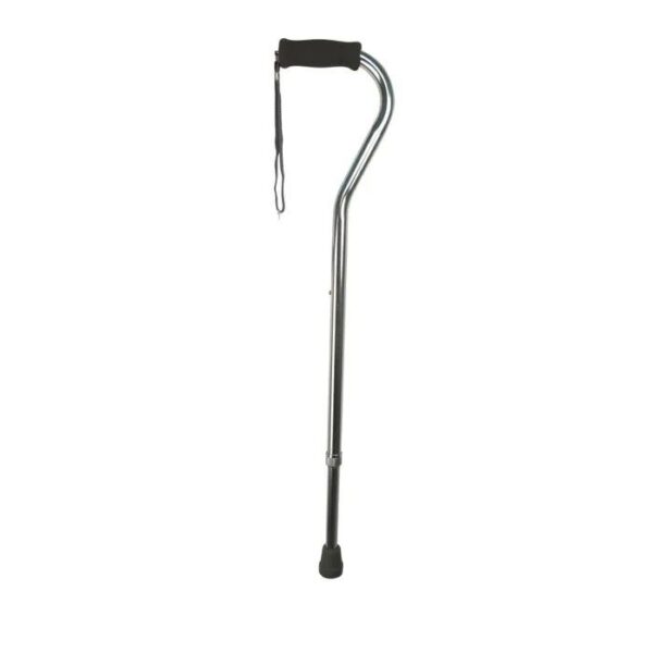 Days Swan Handle Walking Stick, Silver