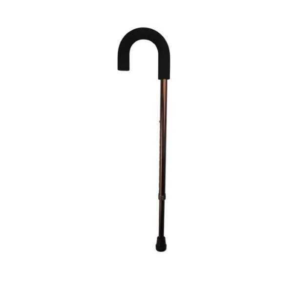 Days Crook Handle Walking Stick, Bronze