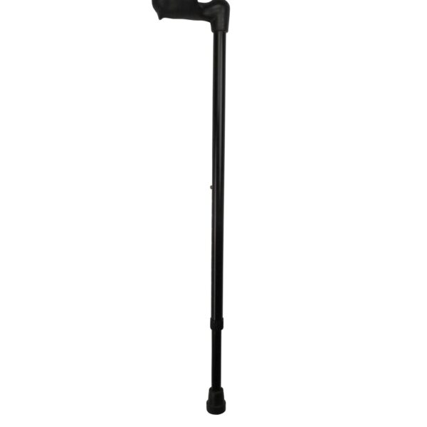 Days Anatomical Walking Stick, Right Hand