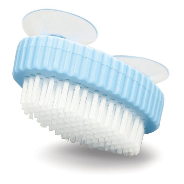 Nail/Denture Brush
