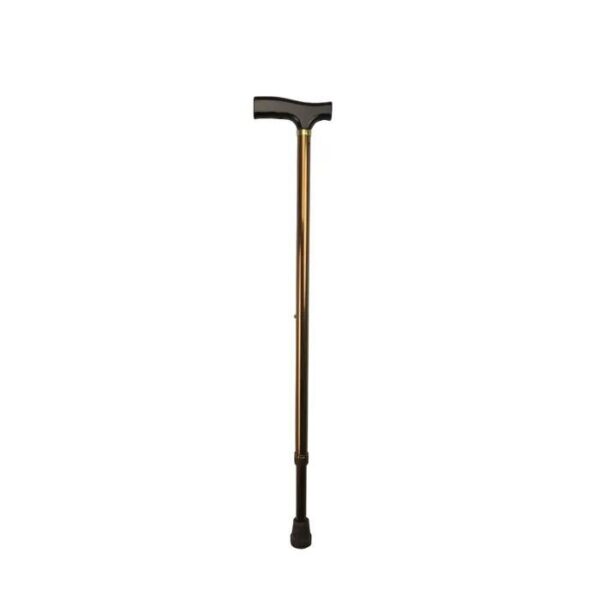 Days T-Handle Walking Stick, Bronze