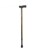 Days T-Handle Walking Stick, Bronze
